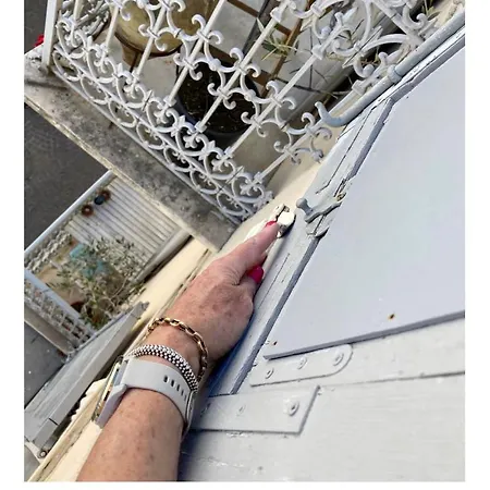 شقة Carousel أنتيب